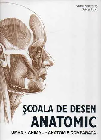 Școala de desen anatomic Legkelendőbb