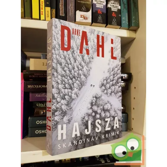 Arne Dahl: Hajsza (Berger & Blom 2.) (skandináv krimi) Árengedmény