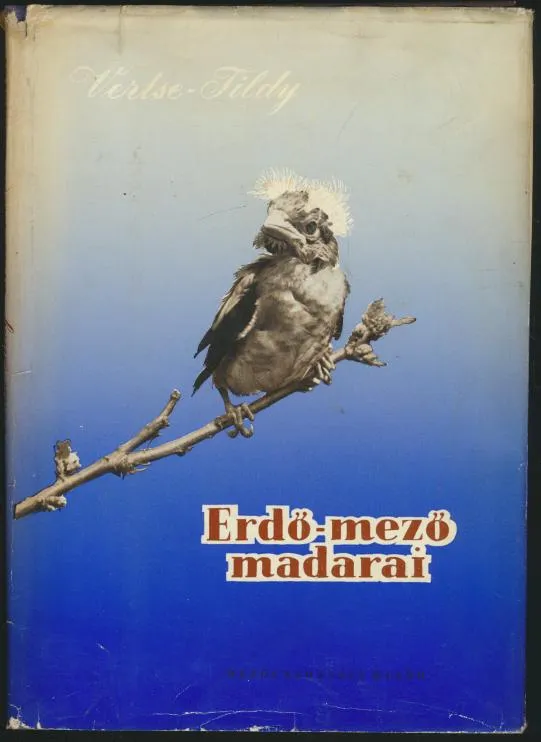 Vertse Albert: Erdő-mező madarai Csak ma